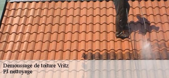 Demoussage de toiture  vritz-49440 PJ nettoyage