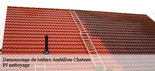 Demoussage de toiture  ambillou-chateau-49700 PJ nettoyage