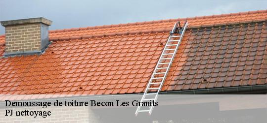 Demoussage de toiture  becon-les-granits-49370 PJ nettoyage