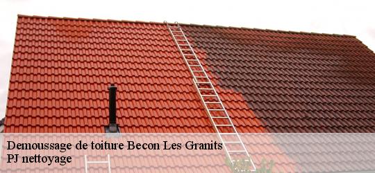 Demoussage de toiture  becon-les-granits-49370 PJ nettoyage