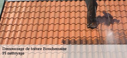 Demoussage de toiture bouchemaine-49080 PJ nettoyage