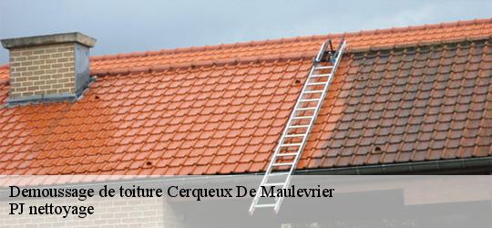 Demoussage de toiture  cerqueux-de-maulevrier-49360 PJ nettoyage