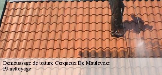 Demoussage de toiture cerqueux-de-maulevrier-49360 PJ nettoyage