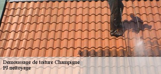 Demoussage de toiture  champigne-49330 PJ nettoyage