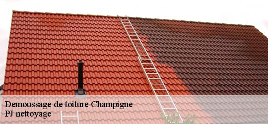 Demoussage de toiture  champigne-49330 PJ nettoyage