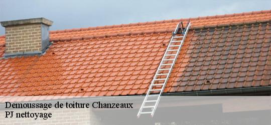Demoussage de toiture  chanzeaux-49750 PJ nettoyage