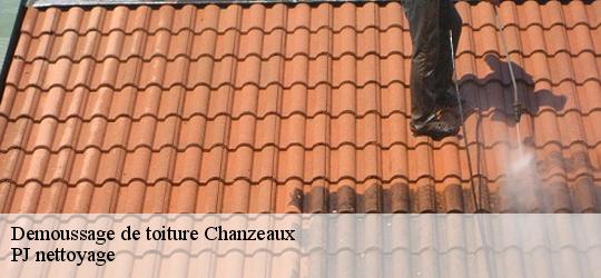 Demoussage de toiture chanzeaux-49750 PJ nettoyage