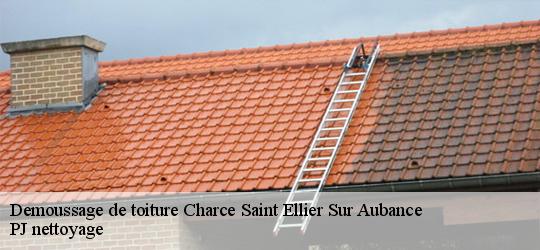 Demoussage de toiture  charce-saint-ellier-sur-aubance-49320 PJ nettoyage