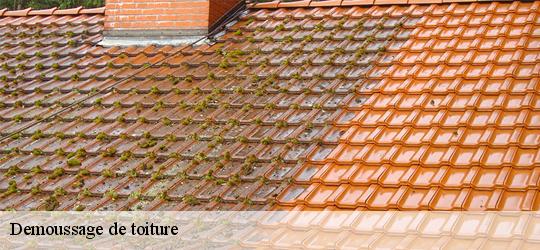 Demoussage de toiture  chartrene-49150 PJ nettoyage