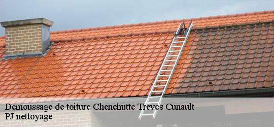 Demoussage de toiture  chenehutte-treves-cunault-49350 PJ nettoyage