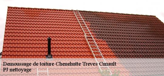 Demoussage de toiture  chenehutte-treves-cunault-49350 PJ nettoyage