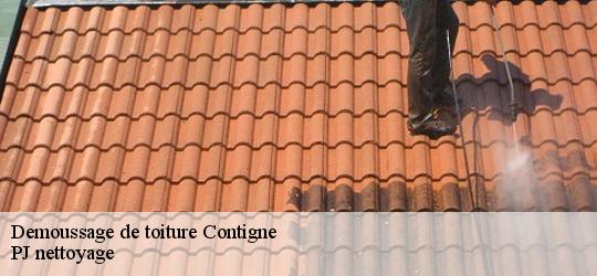 Demoussage de toiture contigne-49330 PJ nettoyage