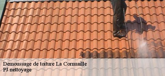 Demoussage de toiture  la-cornuaille-49440 PJ nettoyage