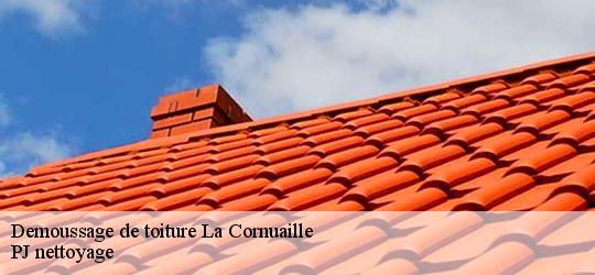 Demoussage de toiture  la-cornuaille-49440 PJ nettoyage