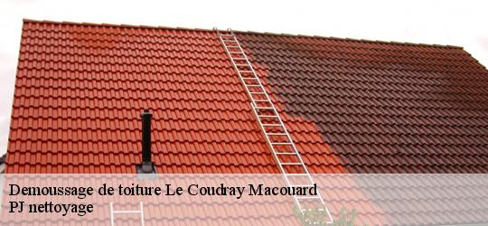 Demoussage de toiture  le-coudray-macouard-49260 PJ nettoyage