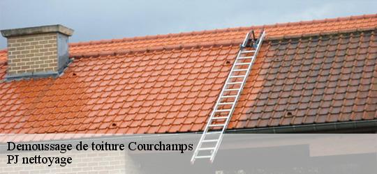 Demoussage de toiture  courchamps-49260 PJ nettoyage