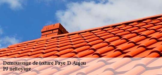 Demoussage de toiture  faye-d-anjou-49380 PJ nettoyage