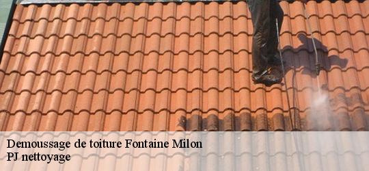 Demoussage de toiture  fontaine-milon-49140 PJ nettoyage