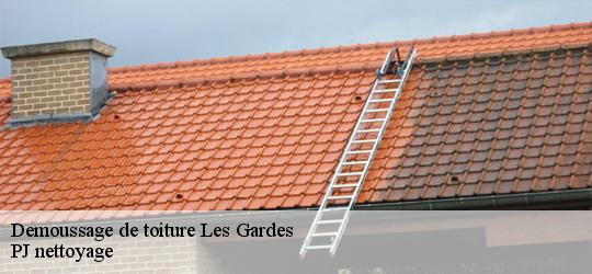 Demoussage de toiture  les-gardes-49120 PJ nettoyage