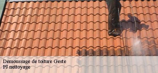 Demoussage de toiture geste-49600 PJ nettoyage