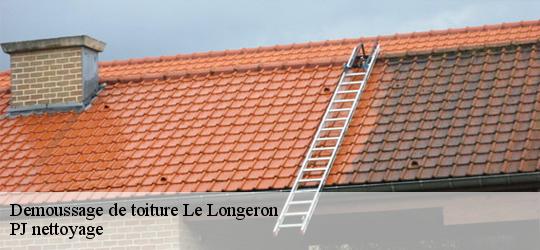 Demoussage de toiture  le-longeron-49710 PJ nettoyage