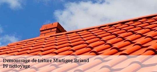 Demoussage de toiture  martigne-briand-49540 PJ nettoyage