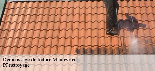 Demoussage de toiture maulevrier-49360 PJ nettoyage