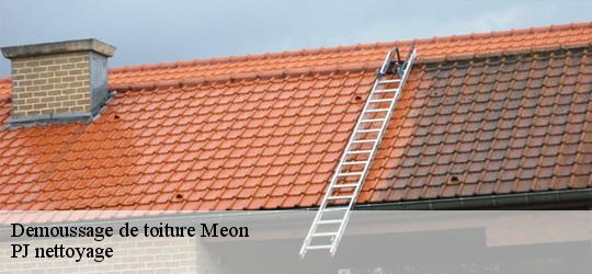 Demoussage de toiture meon-49490 PJ nettoyage
