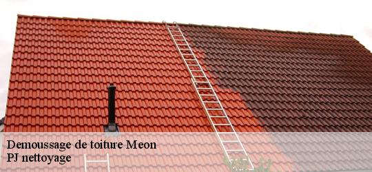 Demoussage de toiture meon-49490 PJ nettoyage