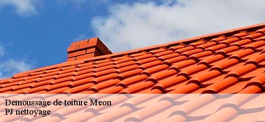 Demoussage de toiture meon-49490 PJ nettoyage