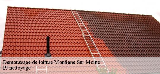 Demoussage de toiture  montigne-sur-moine-49230 PJ nettoyage