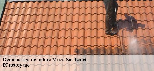 Demoussage de toiture  moze-sur-louet-49610 PJ nettoyage