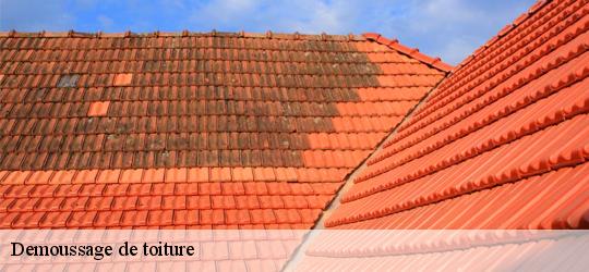 Demoussage de toiture moze-sur-louet-49610 PJ nettoyage