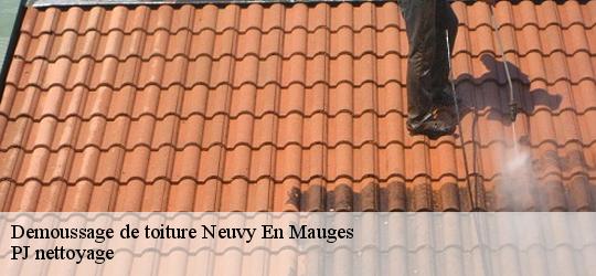 Demoussage de toiture neuvy-en-mauges-49120 PJ nettoyage
