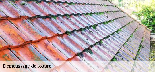 Demoussage de toiture  pellouailles-les-vignes-49112 PJ nettoyage