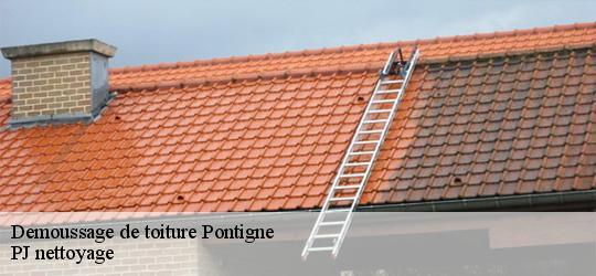 Demoussage de toiture  pontigne-49150 PJ nettoyage