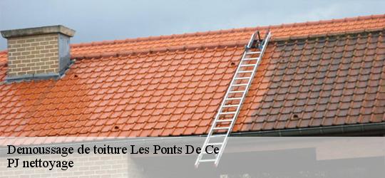 Demoussage de toiture  les-ponts-de-ce-49130 PJ nettoyage