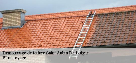 Demoussage de toiture  saint-aubin-de-luigne-49190 PJ nettoyage
