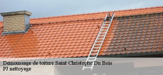 Demoussage de toiture  saint-christophe-du-bois-49280 PJ nettoyage