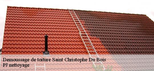 Demoussage de toiture  saint-christophe-du-bois-49280 PJ nettoyage