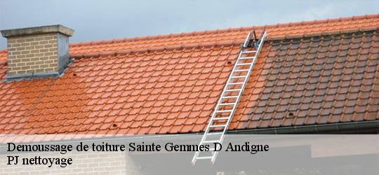 Demoussage de toiture  sainte-gemmes-d-andigne-49500 PJ nettoyage