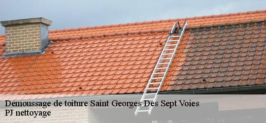 Demoussage de toiture  saint-georges-des-sept-voies-49350 PJ nettoyage