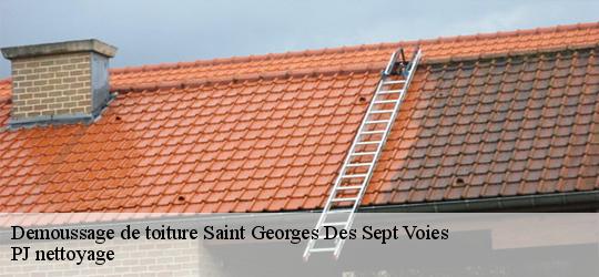 Demoussage de toiture saint-georges-des-sept-voies-49350 PJ nettoyage