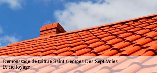 Demoussage de toiture saint-georges-des-sept-voies-49350 PJ nettoyage