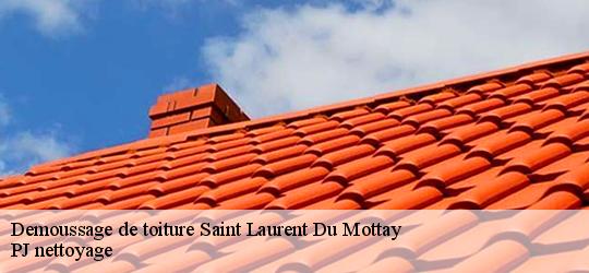 Demoussage de toiture saint-laurent-du-mottay-49410 PJ nettoyage