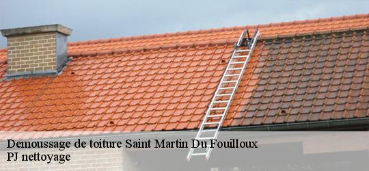 Demoussage de toiture  saint-martin-du-fouilloux-49170 PJ nettoyage