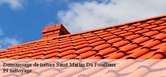 Demoussage de toiture  saint-martin-du-fouilloux-49170 PJ nettoyage