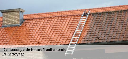 Demoussage de toiture  toutlemonde-49360 PJ nettoyage