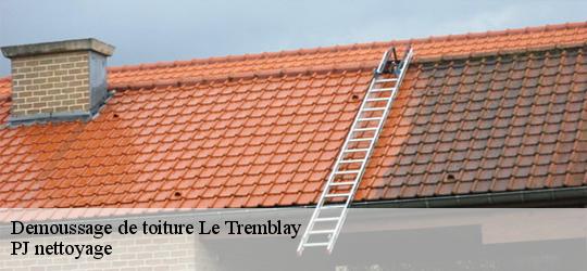 Demoussage de toiture  le-tremblay-49520 PJ nettoyage