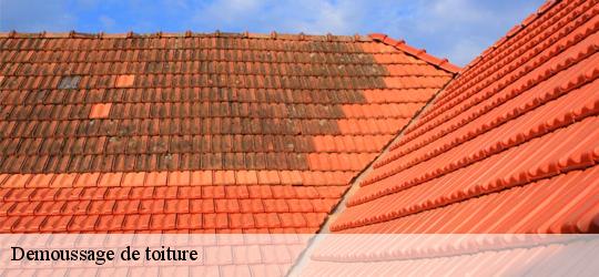 Demoussage de toiture  varennes-sur-loire-49730 PJ nettoyage